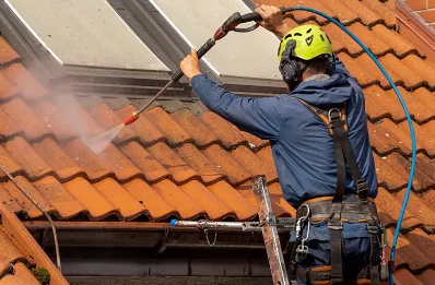 Démoussage et hydrofuge de toiture à Trinité